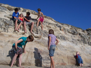 Natural Bridges State Beach