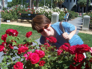 California State Capitol Park and Building